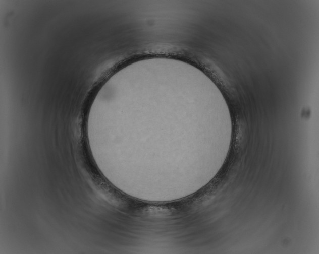 X0000089440636200707131906