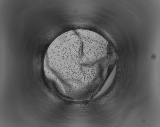 X0000089440637200707131906