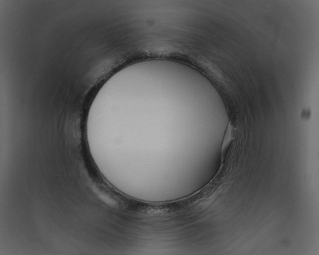 X0000089440638200707131906