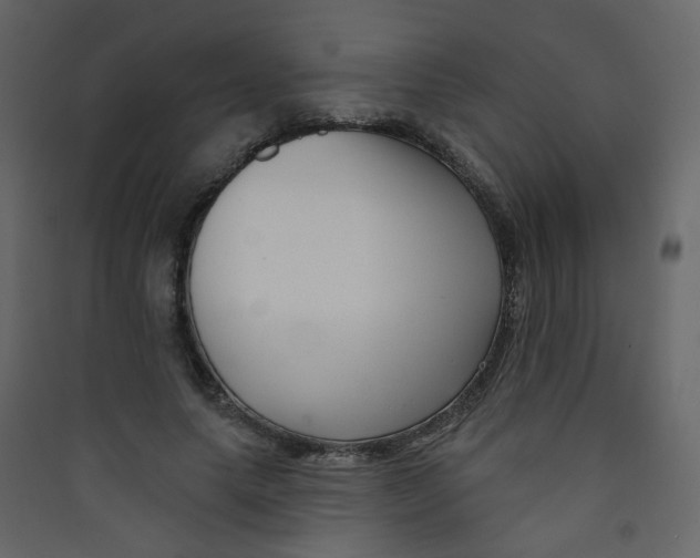 X0000089440639200707131906
