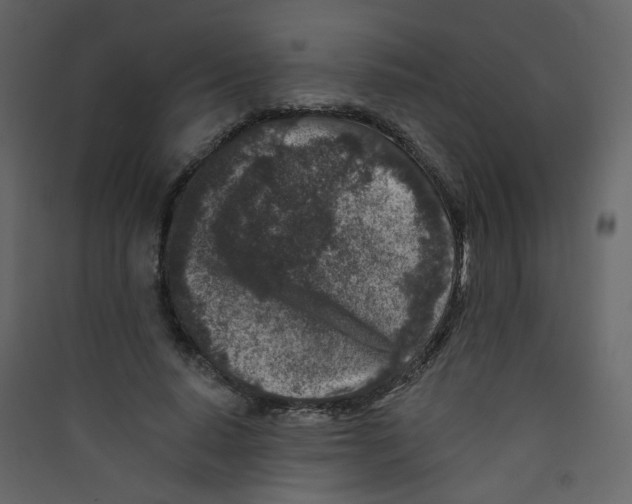 X0000089440640200707131906