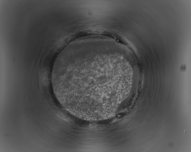 X0000089440641200707131906
