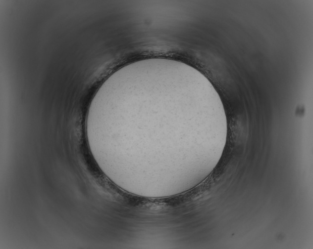 X0000089440642200707131906