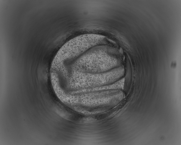 X0000089440644200707131906