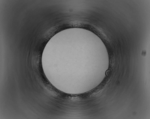X0000089440645200707131906