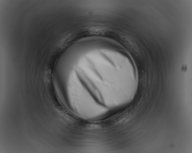 X0000089440649200707131907