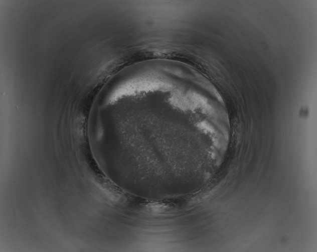 X0000089440650200707131907
