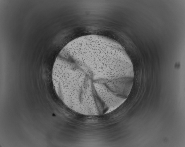 X0000089440653200707131907