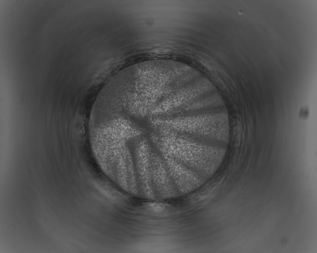 X0000089440654200707131907