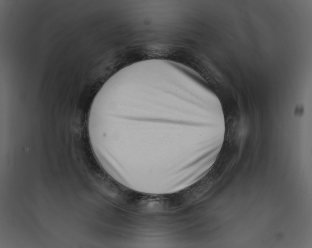 X0000089440655200707131907