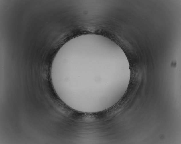 X0000089440656200707131907
