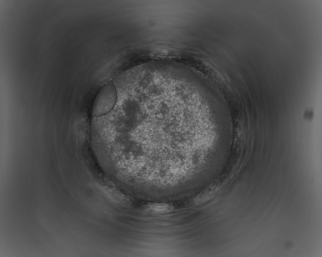 X0000089440659200707131907