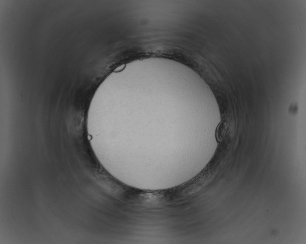 X0000089440660200707131907