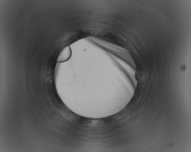 X0000089440663200707131907