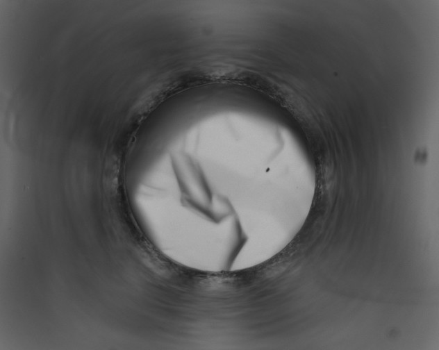 X0000089440664200707131907