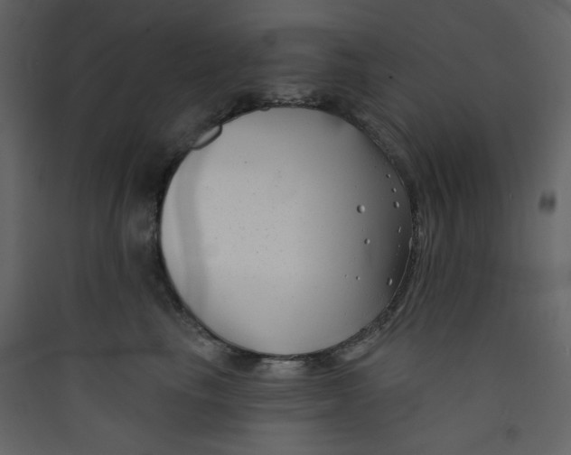 X0000089440665200707131907