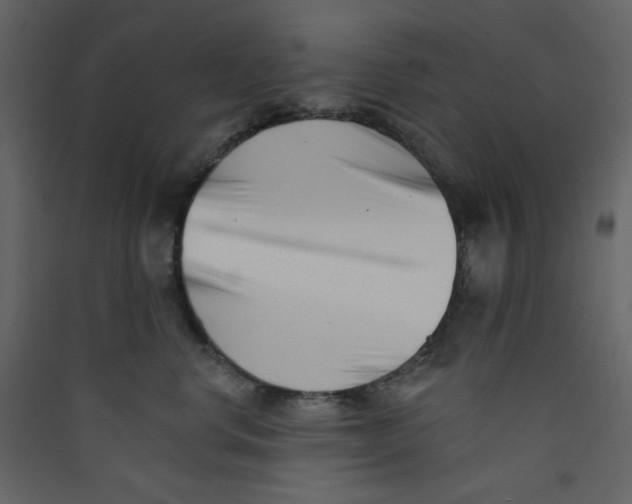 X0000089440668200707131907