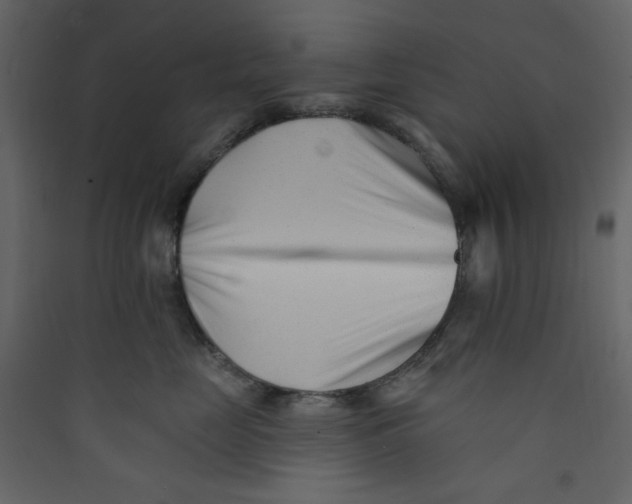 X0000089440669200707131907