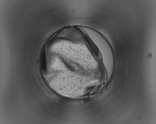 X0000089440673200707131906