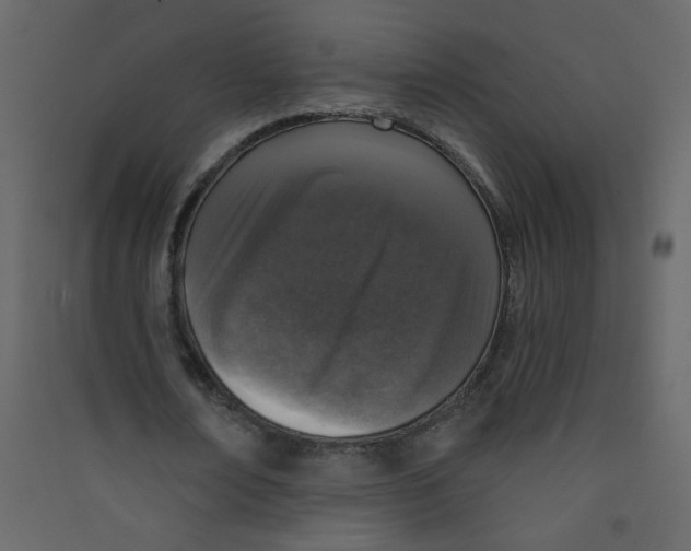 X0000089440674200707131906