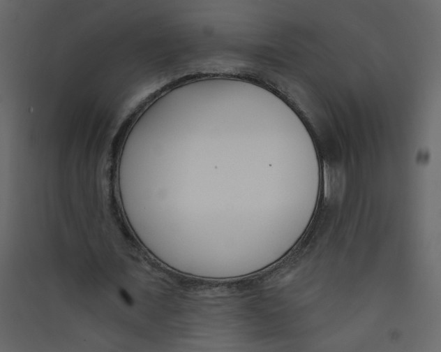 X0000089440675200707131906