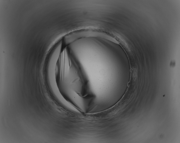X0000089440676200707131906