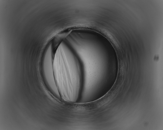 X0000089440677200707131906