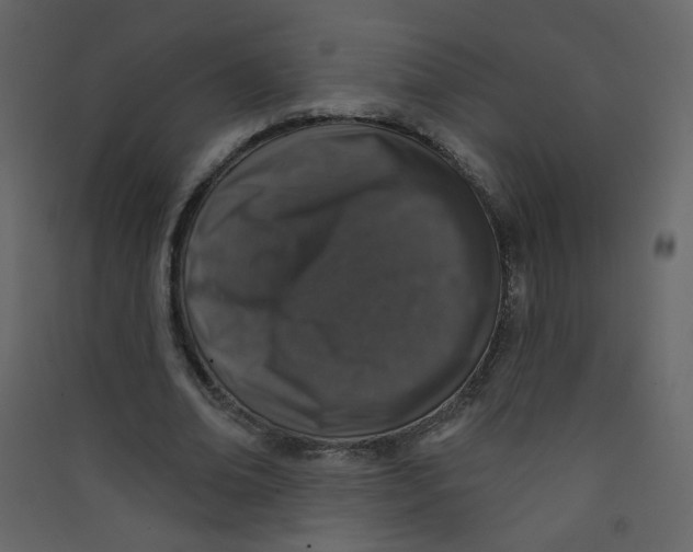 X0000089440678200707131906