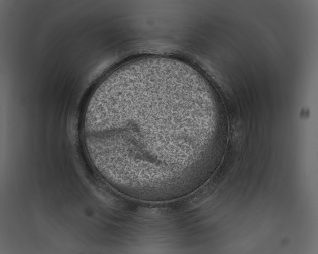 X0000089440679200707131906