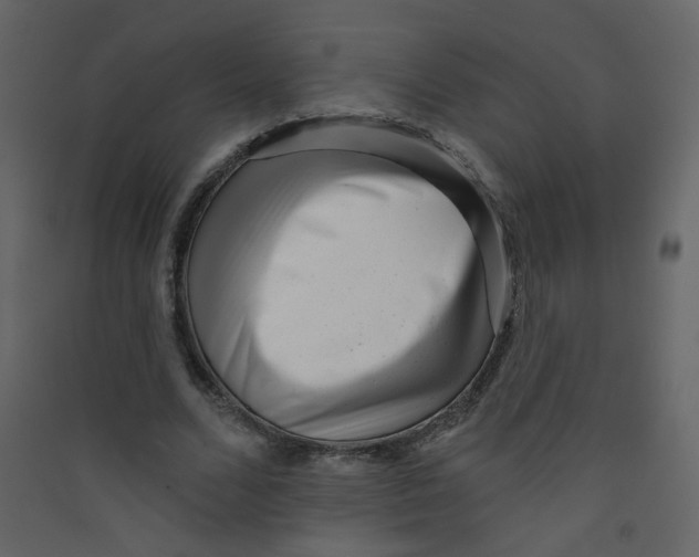 X0000089440680200707131906