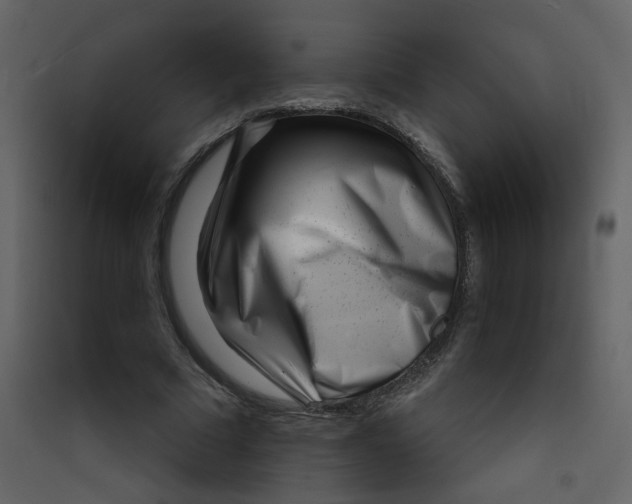 X0000089440681200707131906