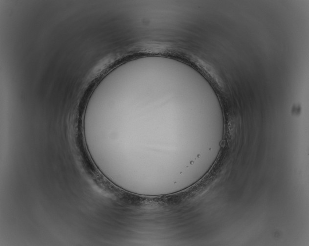 X0000089440682200707131906