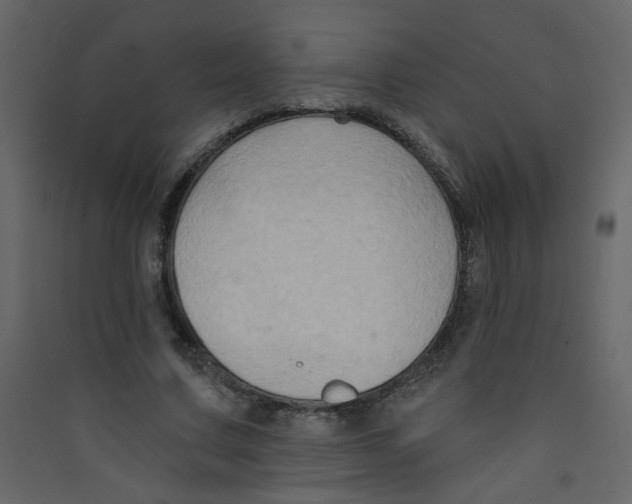 X0000089440683200707131906