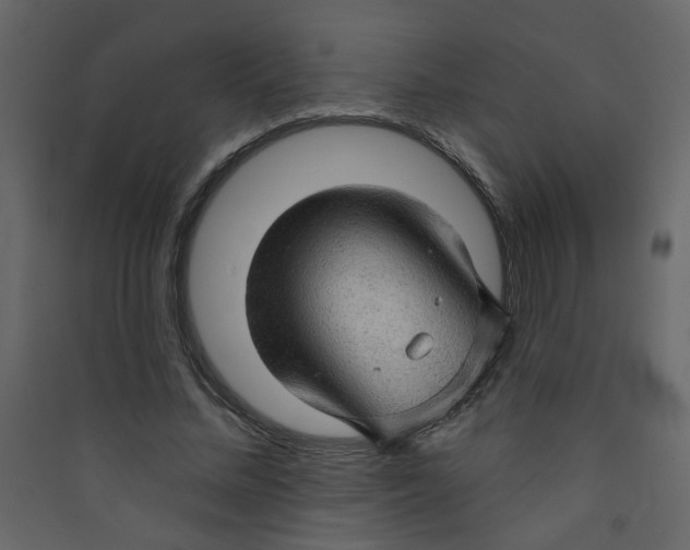 X0000089440684200707131906
