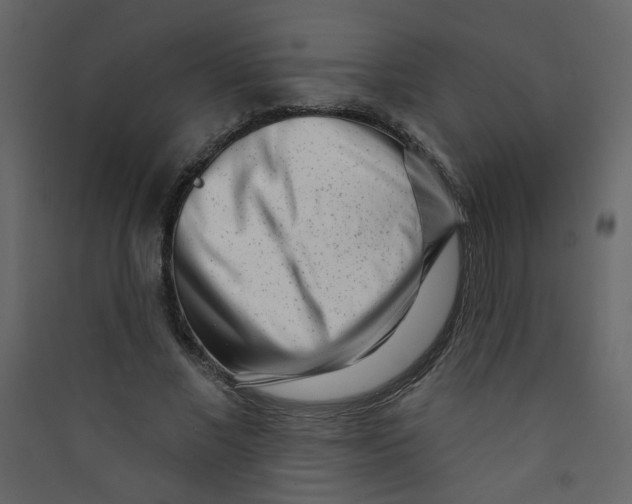 X0000089440685200707131906