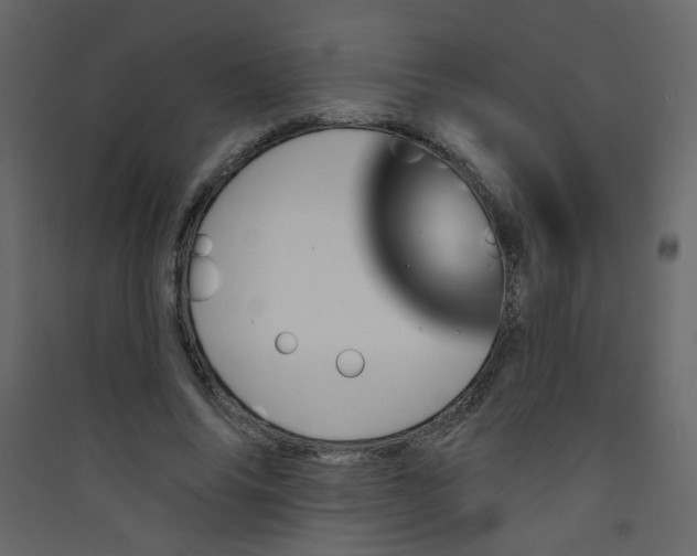 X0000089440686200707131906