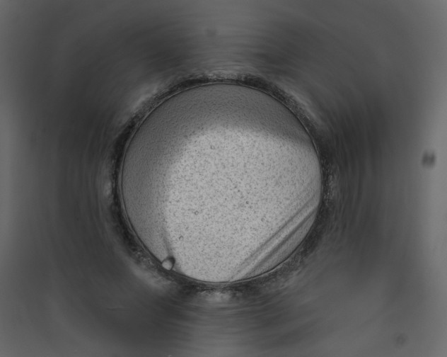 X0000089440687200707131906