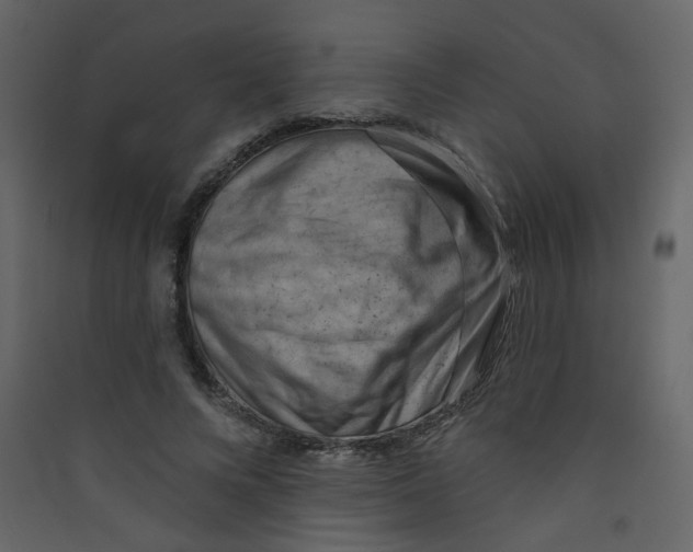 X0000089440688200707131906