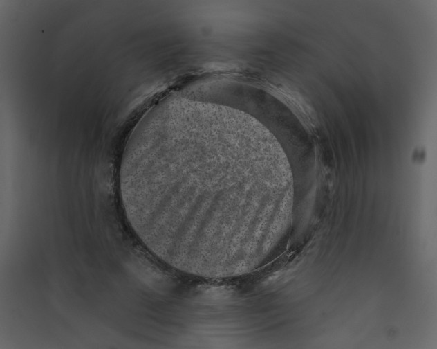 X0000089440689200707131906