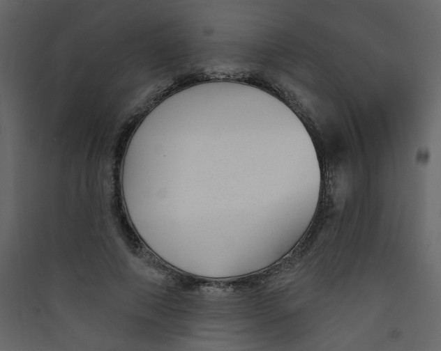 X0000089440690200707131906