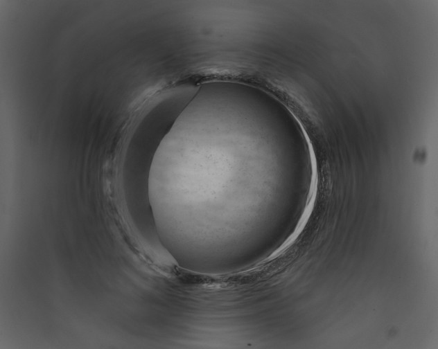 X0000089440692200707131906