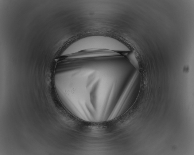 X0000089440693200707131906
