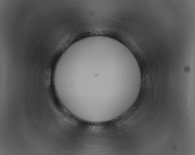 X0000089440694200707131906