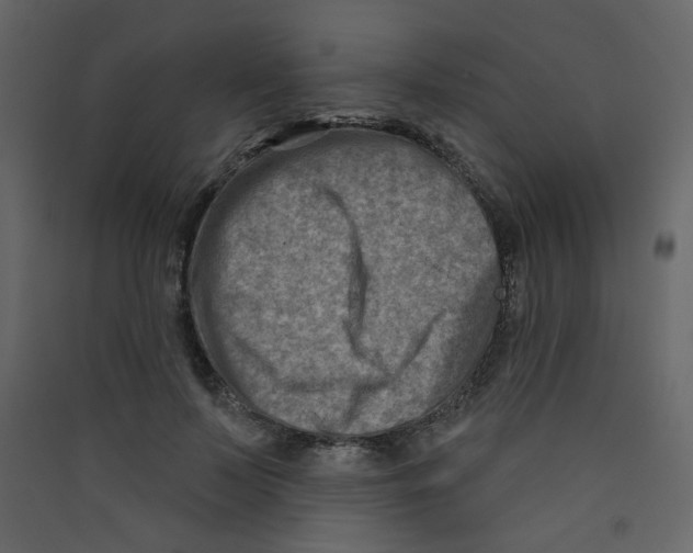 X0000089440695200707131906