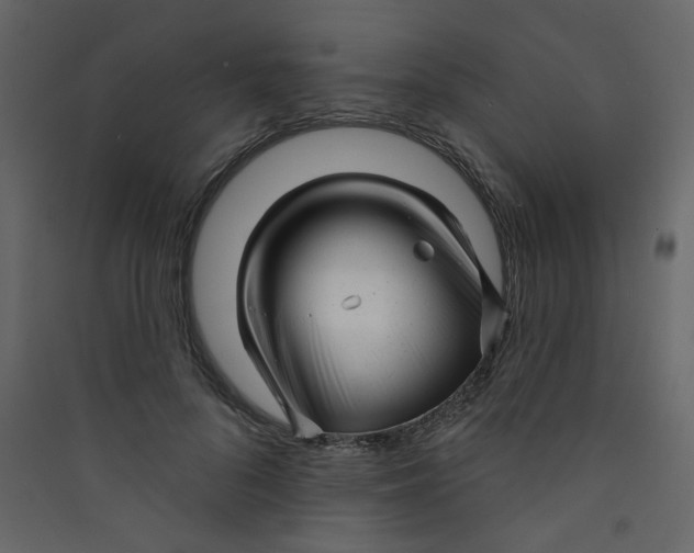 X0000089440696200707131906