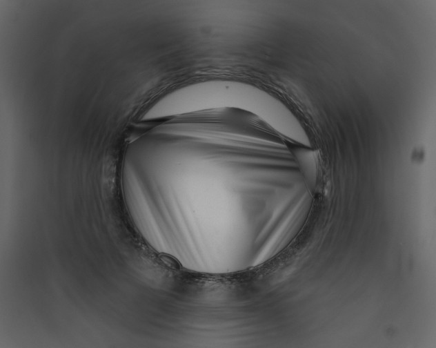 X0000089440697200707131906