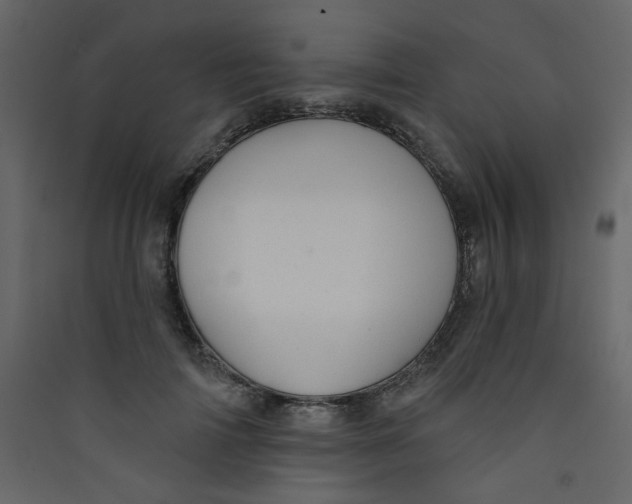 X0000089440698200707131906