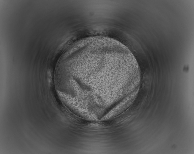 X0000089440699200707131906