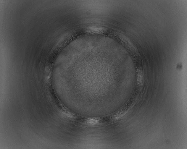 X0000089440701200707131906