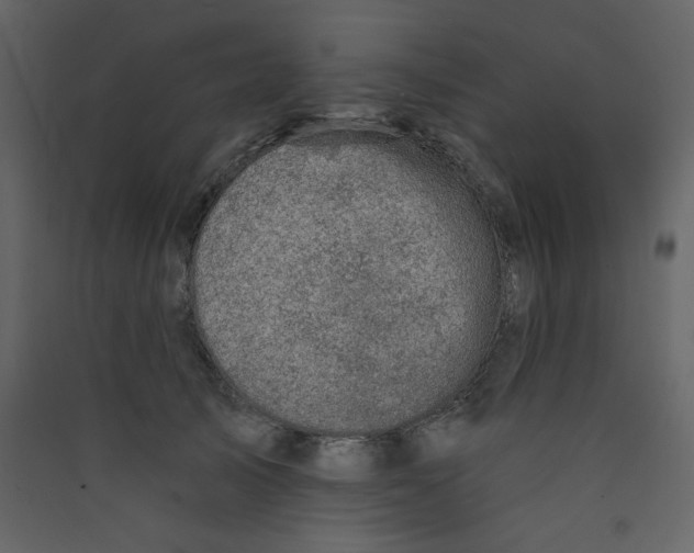 X0000089440705200707131906